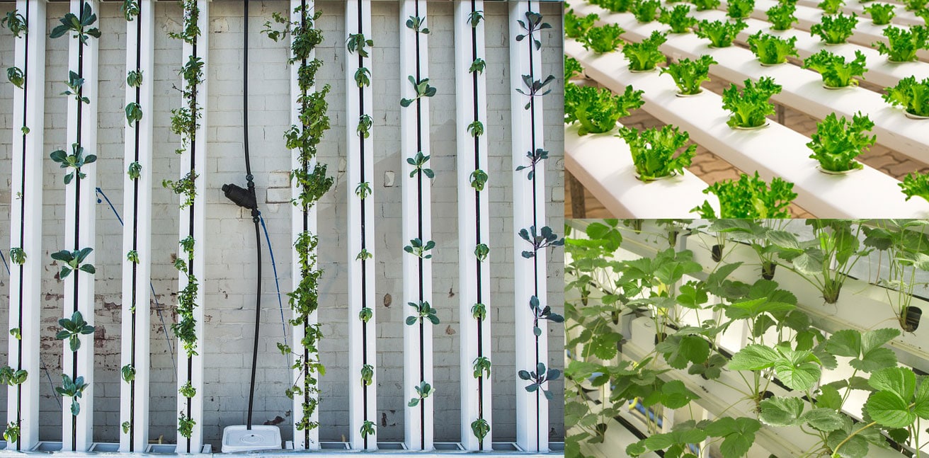 Le jardinage indoor