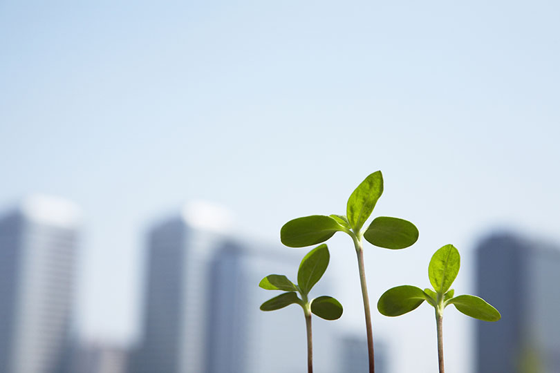 Les entreprises qui agissent pour l"écologie et le développement durable