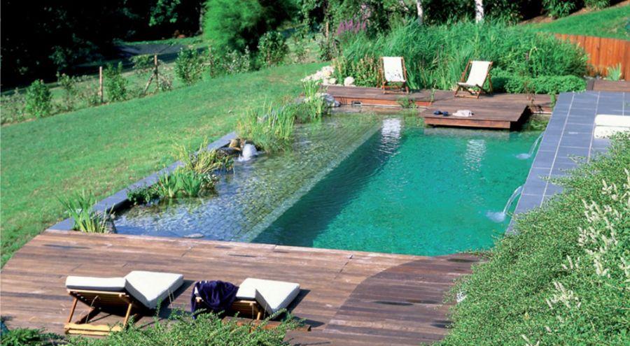 piscine ecologique